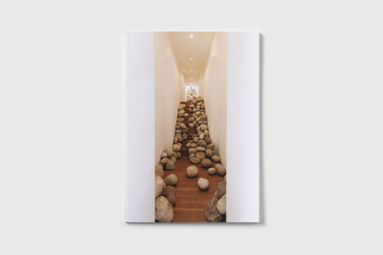 Céleste Boursier-Mougenot - Museum of Contemporary Arts, University of Massachusetts, Amherst - Publications - Paula Cooper Gallery