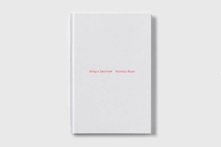 Veronica Ryan: Along a Spectrum - Spike Island - Publications - Paula Cooper Gallery