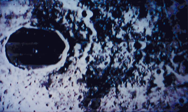 Nancy Graves -  - Viewing Room - Mitchell-Innes & Nash