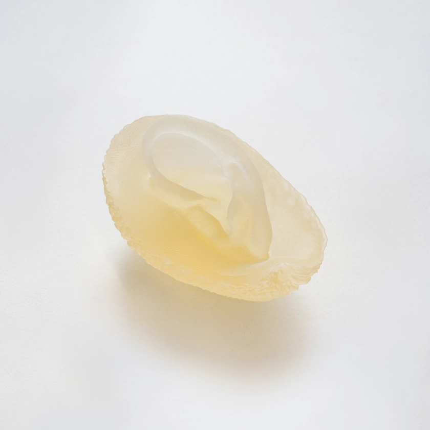 Roberta Gigante | The Whisper of the Ear (limited edition)