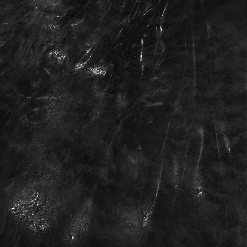 Solo Show Awoiska van der Molen