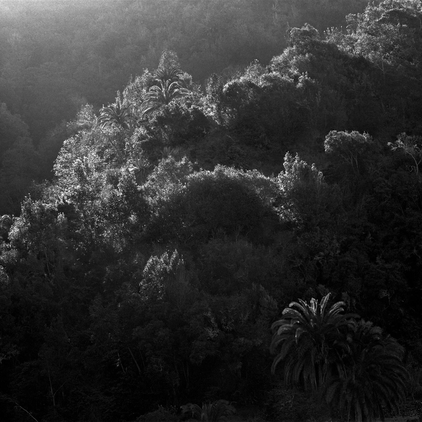 Awoiska van der Molen on shortlist for prestigious Deutsche Börse Photography Prize