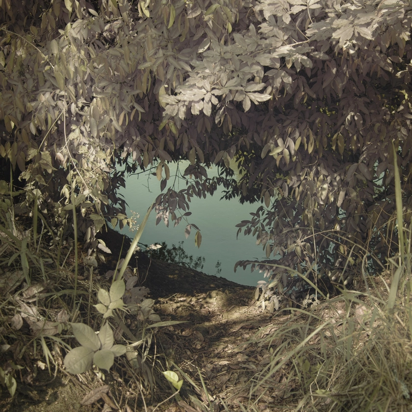 LÉONARD PONGO | A World in Common: Contemporary African Photography (group show) at TATE MODERN (LONDON)