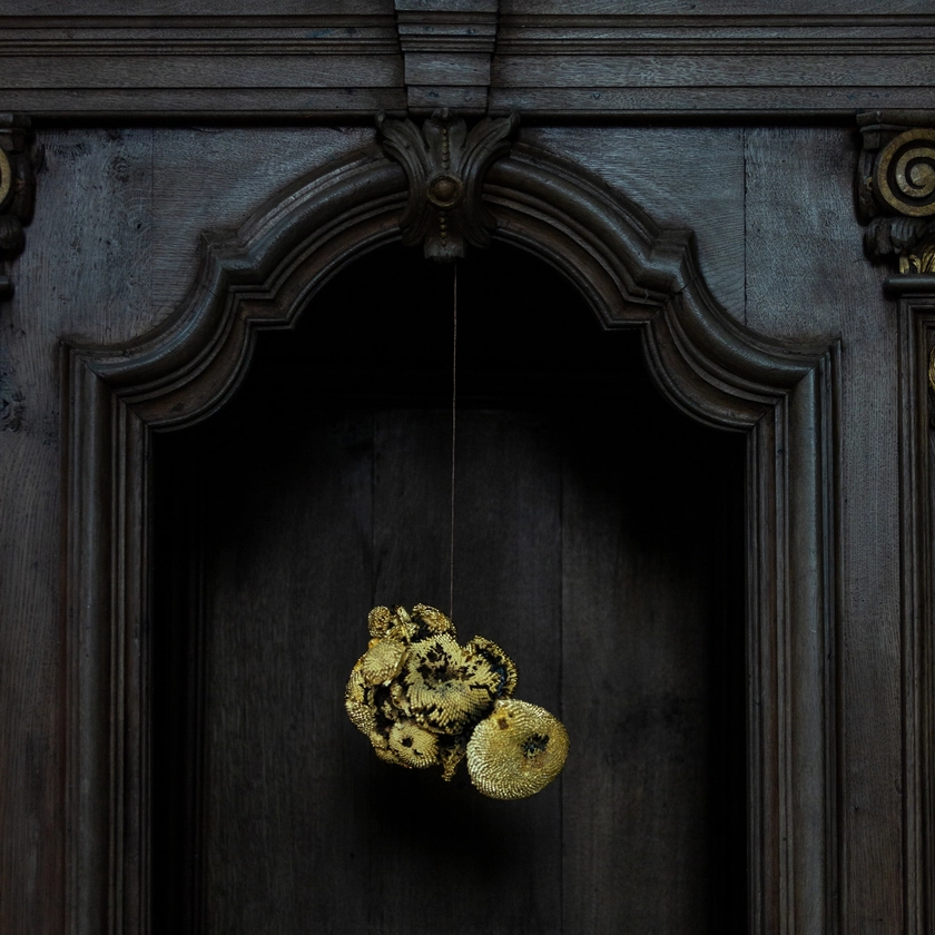 Alberto Scodro | Duo show with Johan Tahon at Tahon's studio/church (Rozebeke)