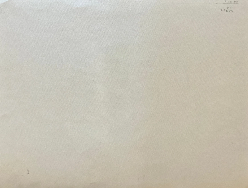 Black and White Horses