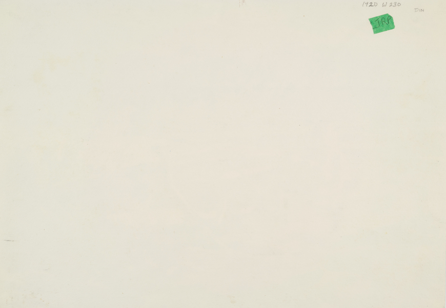 Driftwood on Beach - Bois flotté sur la plage