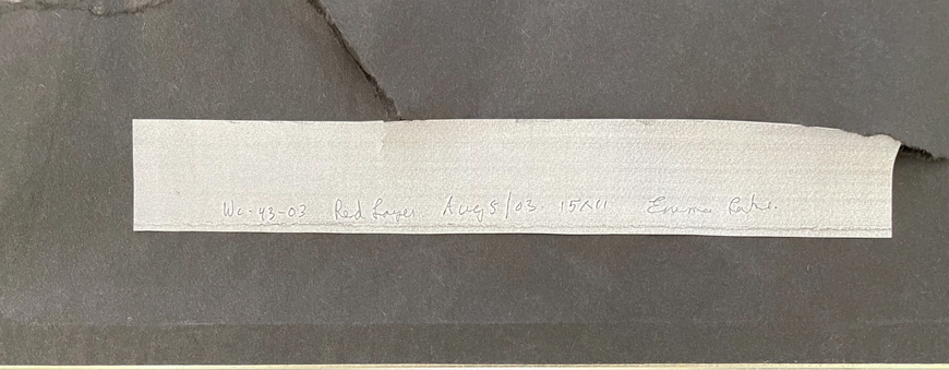 Red Layer, Emma Lake