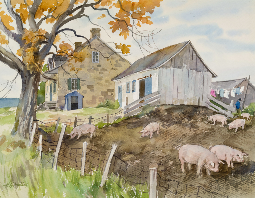 Pigs on the Farm - Élevage de cochons