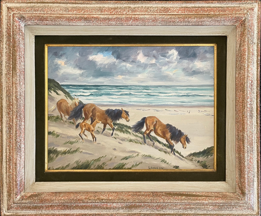 The Wild Ponies of the Sable Islands