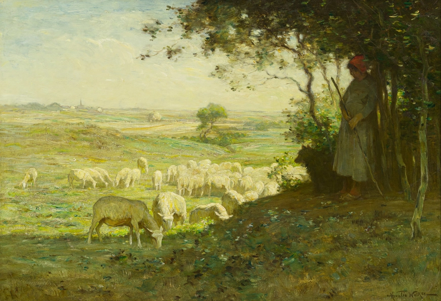 Landscape with Sheep