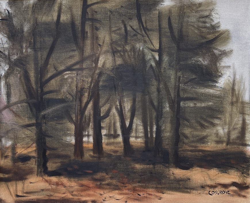 Shady Forest Interior