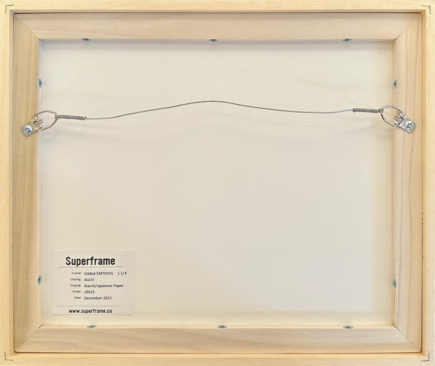 Isola San Burano, Venice