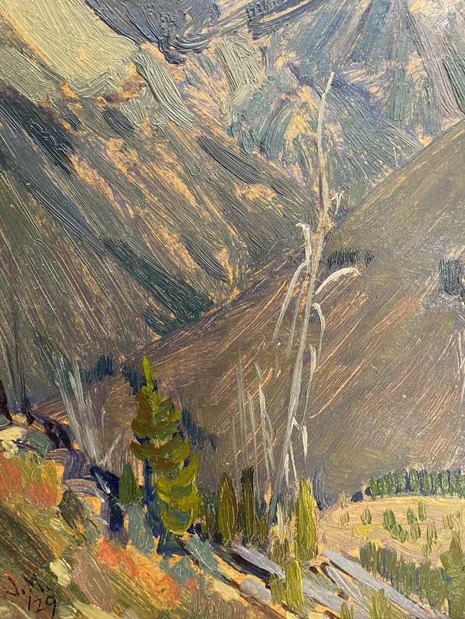 Near Wapta Lake, Kicking Horse Pass, Rocky Mountains