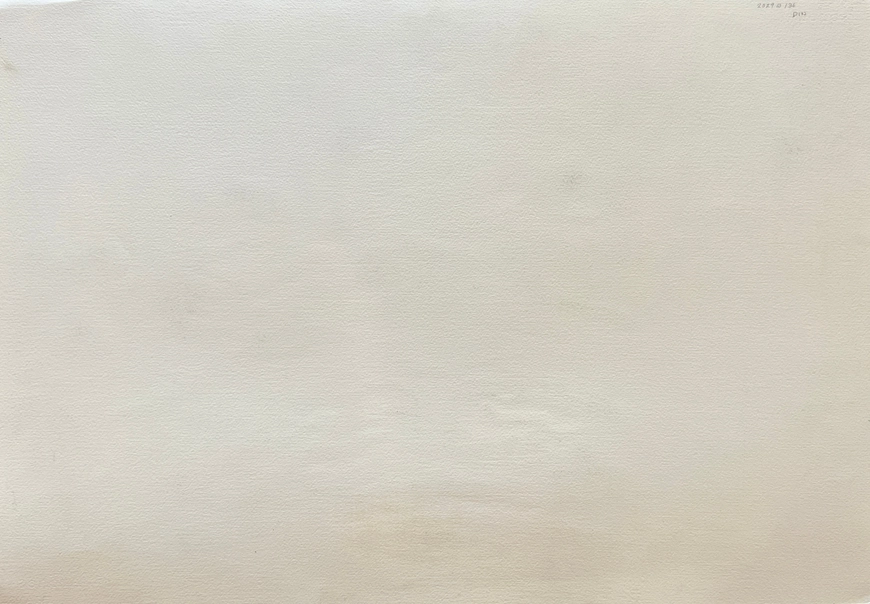 Three Horses Through Wood