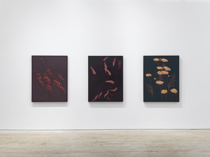Installation view of Alexandria Tarver, Dedicated to the low in heart, Nino Mier Gallery, TriBeCa, February 20 &ndash; March 28, 2026