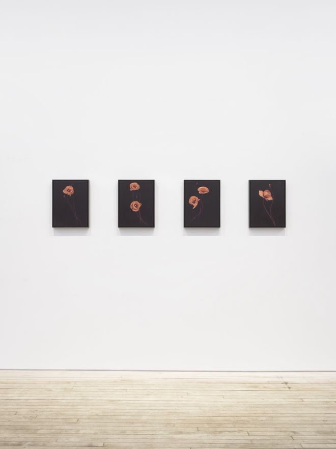 Installation view of Alexandria Tarver, Dedicated to the low in heart, Nino Mier Gallery, TriBeCa, February 20 &ndash; March 28, 2026