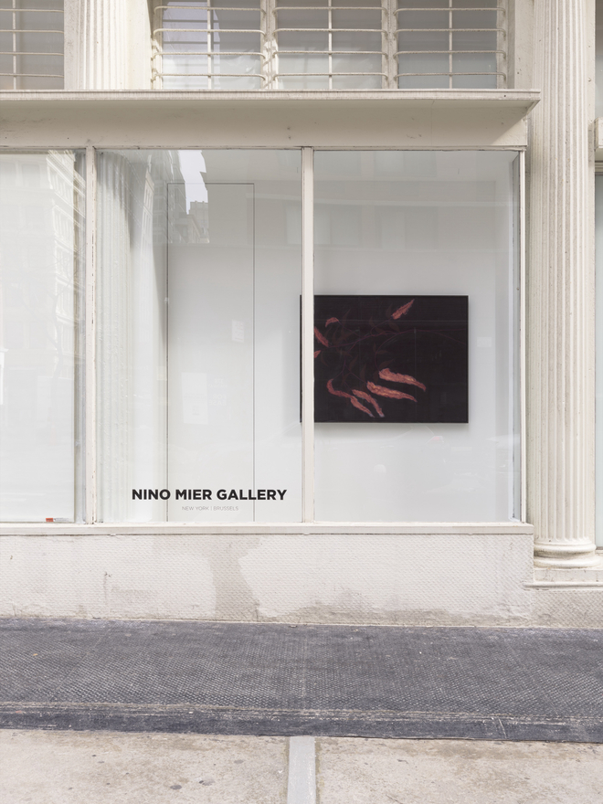 Installation view of Alexandria Tarver, Dedicated to the low in heart, Nino Mier Gallery, TriBeCa, February 20 &ndash; March 28, 2026
