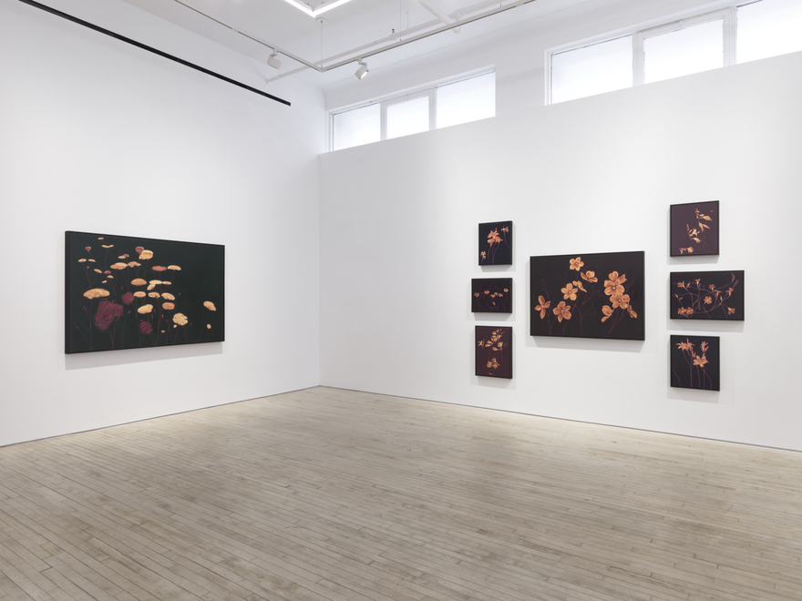 Installation view of Alexandria Tarver, Dedicated to the low in heart, Nino Mier Gallery, TriBeCa, February 20 &ndash; March 28, 2026
