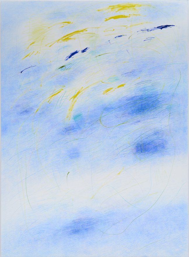 Angiola Gatti Untitled, 2025 Signed &amp; dated on verso Color pencil and oil colors on canvas 83 1/8 x 60 5/8 in 211 x 154 cm (AGA26.043)