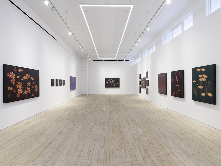 Installation view of Alexandria Tarver, Dedicated to the low in heart, Nino Mier Gallery, TriBeCa, February 20 &ndash; March 28, 2026
