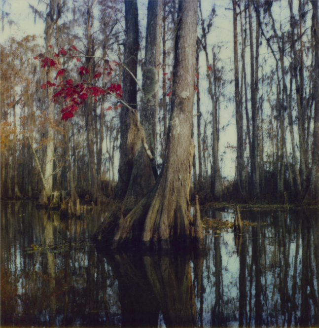 While shooting ‘Down by law’, New Orleans