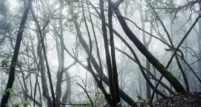 <strong>Axel Hütte</strong>, <em>Canada de Jorge - 1, La Gomera</em>, 2006