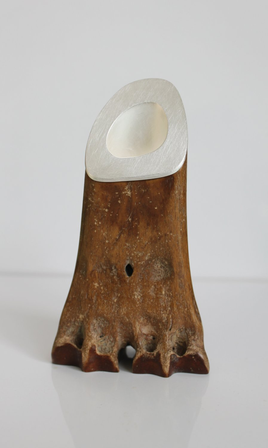 <p>Tidal Ossuary by Julia Lohmann and Gero Grundmann at Gallery Jacqueline Rabun, 2010. Photography by Julia Lohmann</p>