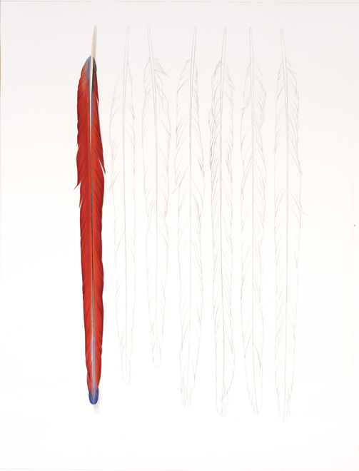 <p>One Red Feather   </p><p>2018</p><p>Gouache and pencil on paper</p><p>71 x 54.5 cm</p>