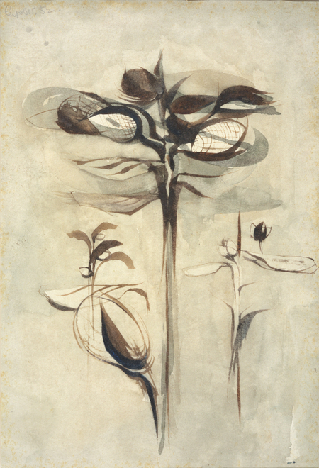 <span class="artist"><strong>Alan Reynolds</strong></span>, <span class="title"><em>Study of a Plant III</em>, 1952</span>