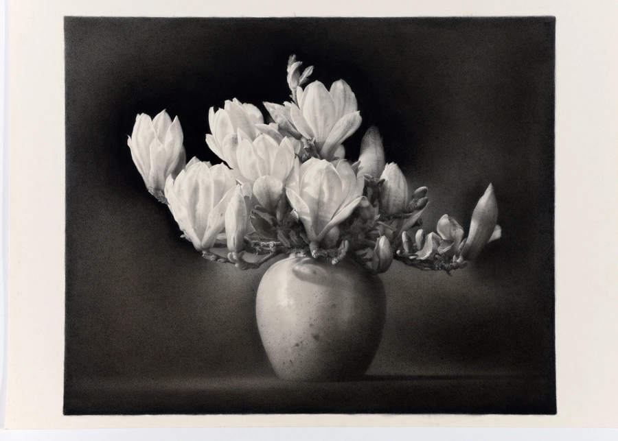 <span class="artist"><strong>Paul Emsley</strong></span>, <span class="title"><em>The Prophet's Tree</em>, 2016</span>