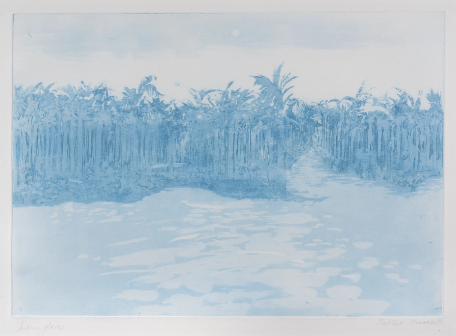 Hiding Places of my Power