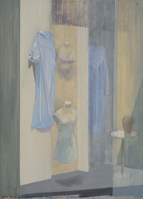 Shop Near Via Fillungo