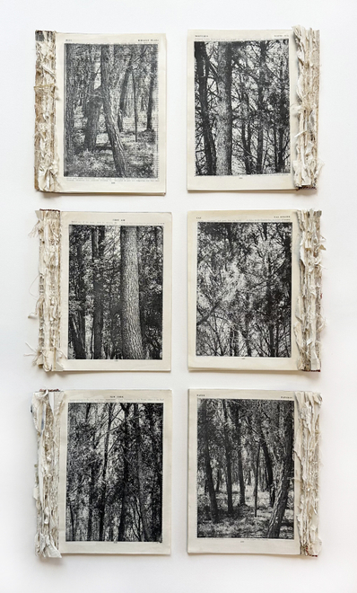 Francesca Centioni  Vol. 144