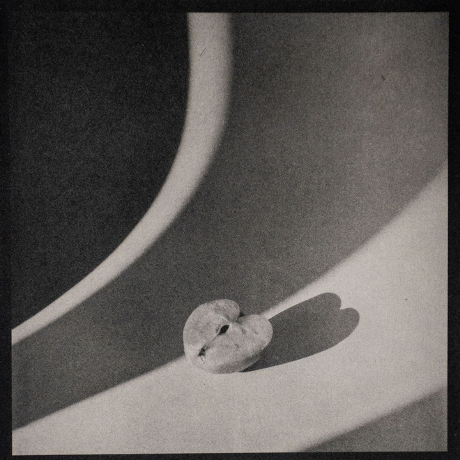 Angela Crosti  Study of an Apple with the natural light