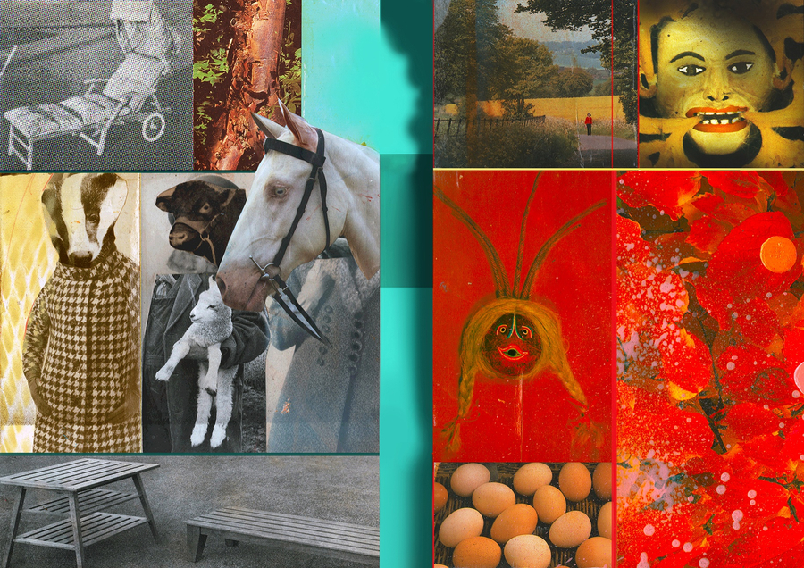 SELECTION PANELIST  David Ferry RE President  Amongst the Beasts of the Earth