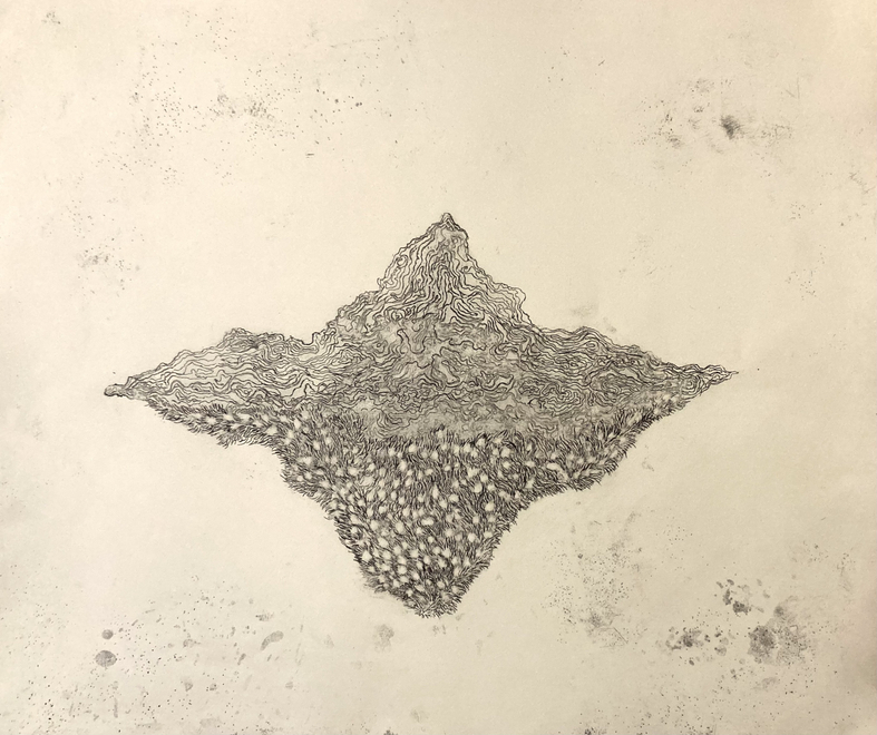 Eleanor Havsteen-Franklin  Terra Mare II