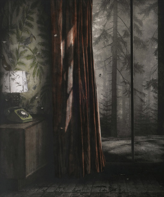 Suzanne Moxhay  Interior With Telephone