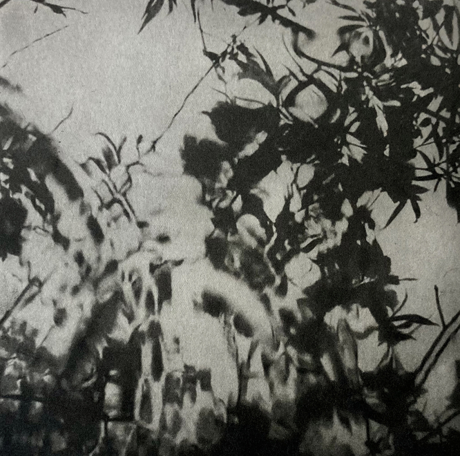 Amanda Salter  Ripples