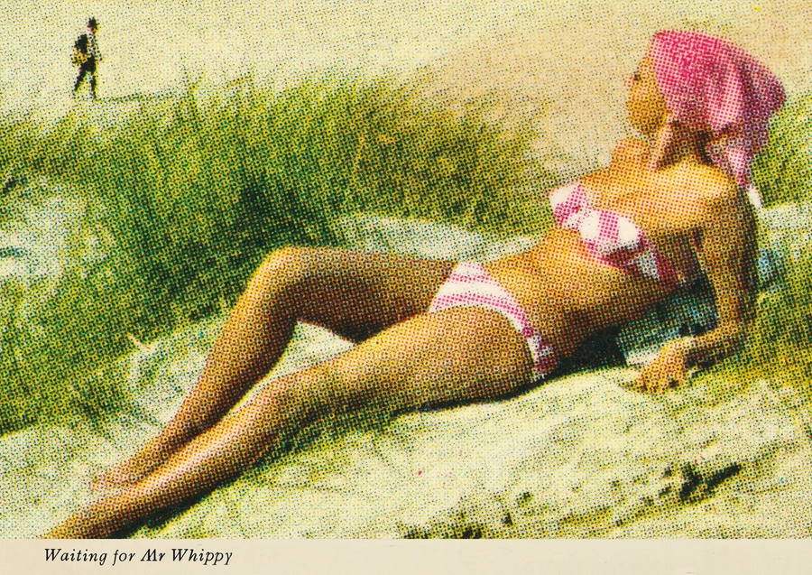 Waiting For Mr Whippy