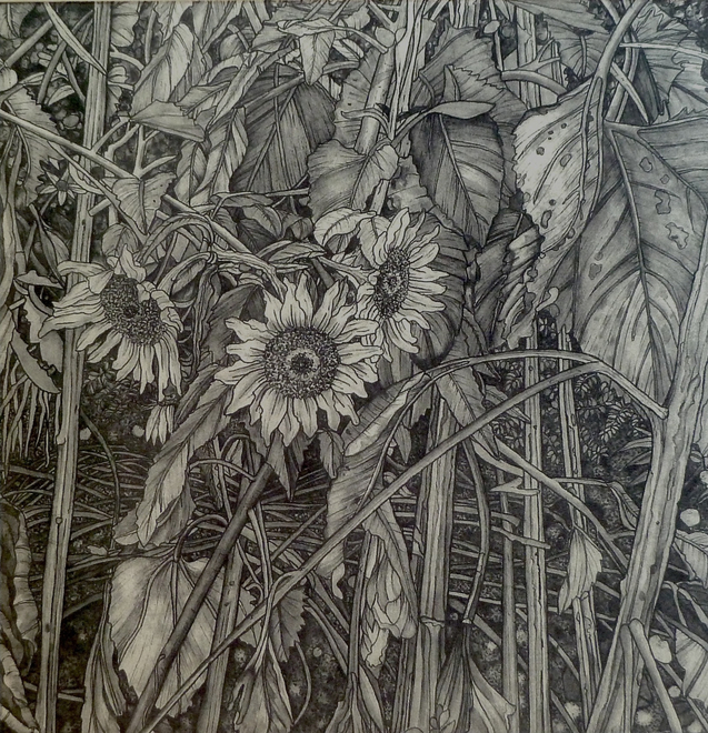 Night Garden Sunflowers