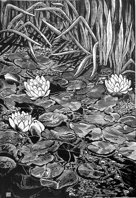 Water Lilies