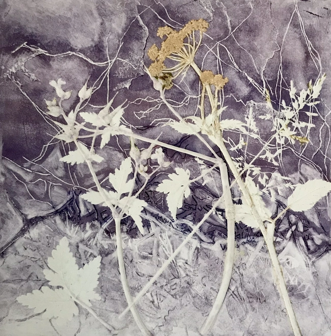 Dawn on Madeira Walk