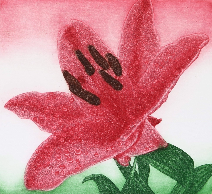 Nourish - Cherry Lily