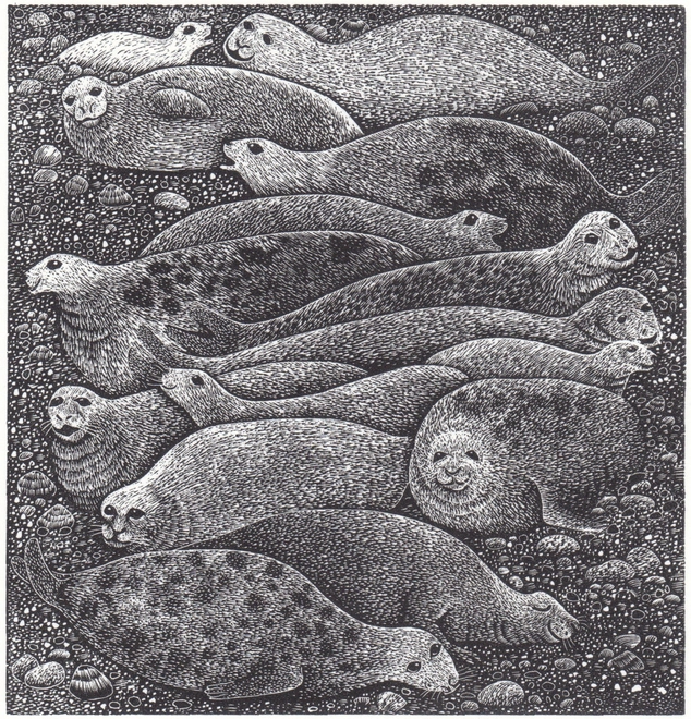 Seals