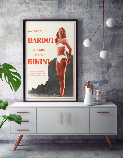 The Girl in the Bikini