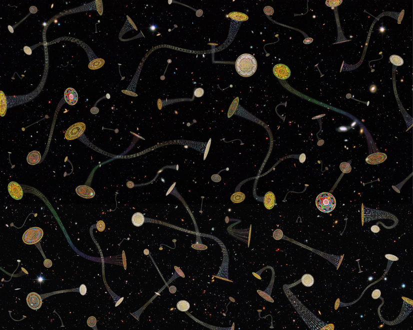 卢杉 《坛城⾍虫洞》  Lu Shan Mandala Wormhole  2018