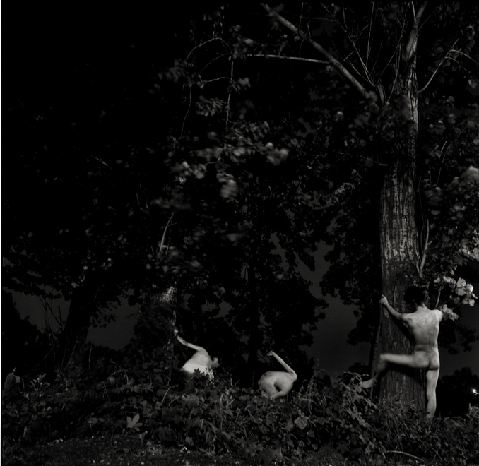 卢彦鹏 《移动的树4》