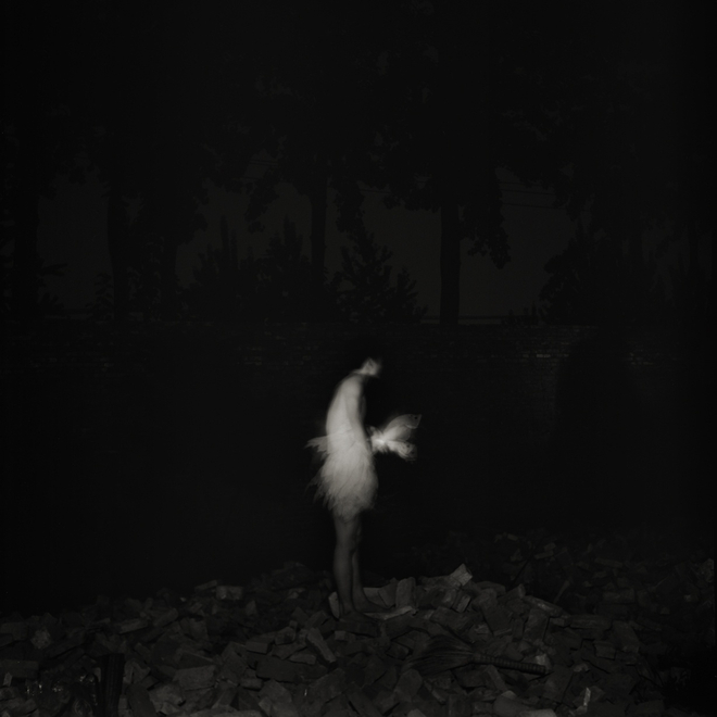 卢彦鹏 《关于一只鹅之二》 About a Goose no. 2 2007