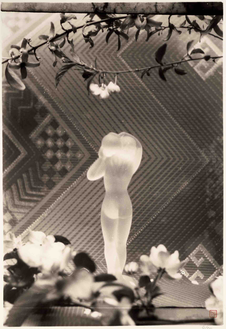 Chinese Photography: Twentieth Century and Beyond