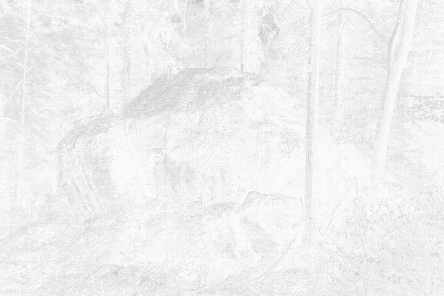 Blocs of Monster 2 negative 2018